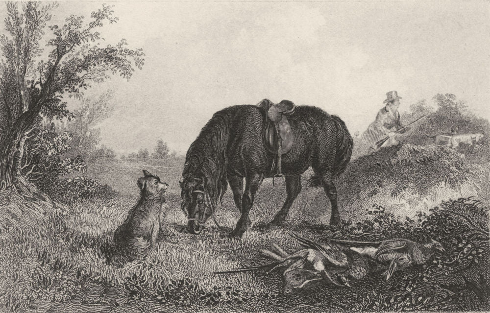 DOGS. 'In Charge'. Dog guarding Horse. Man shooting (Edward Jesse) 1888 print